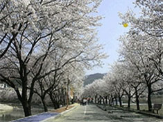 석천문 친환경 생태하천 정비